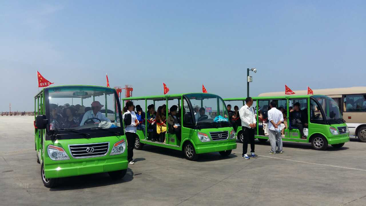 14座燃油观光车案例