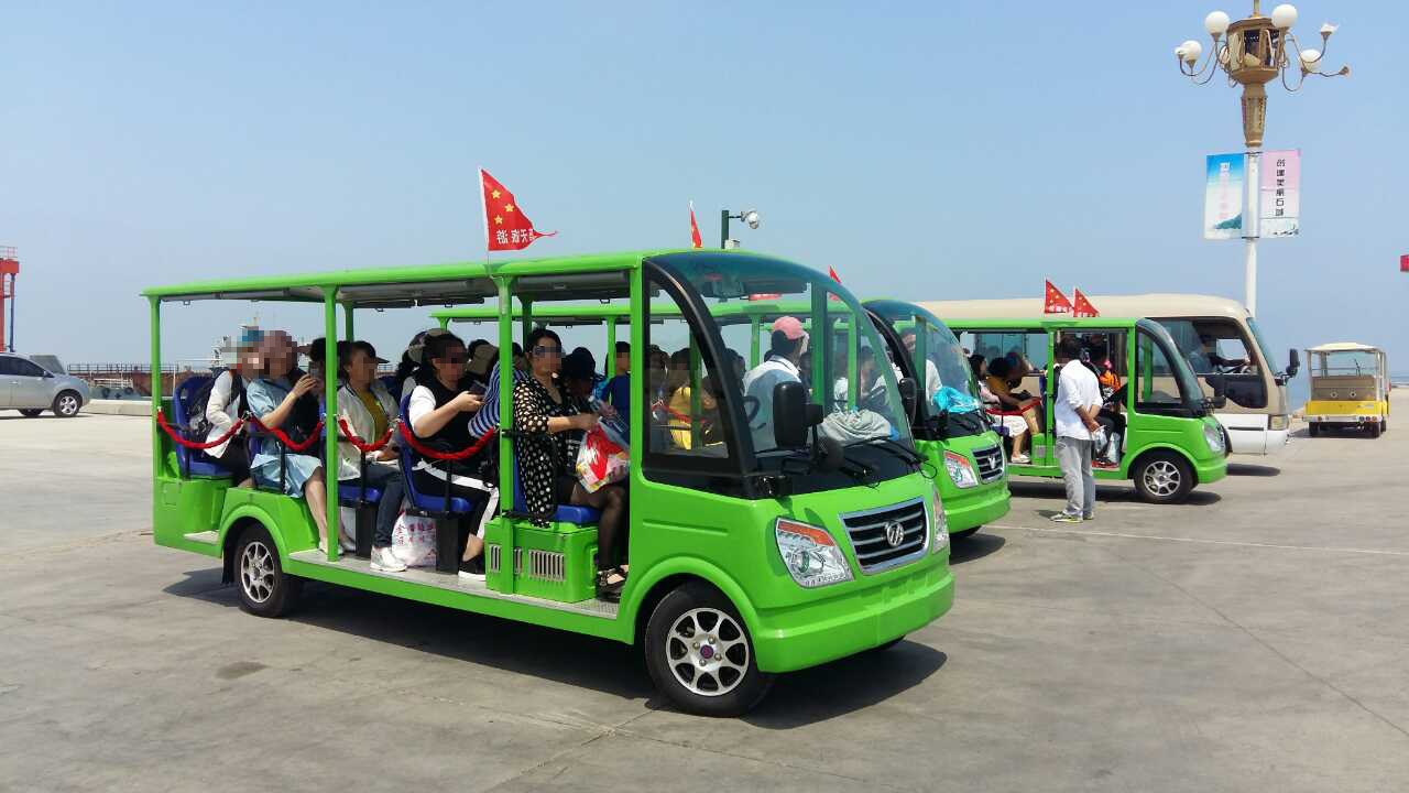 14座燃油观光车案例