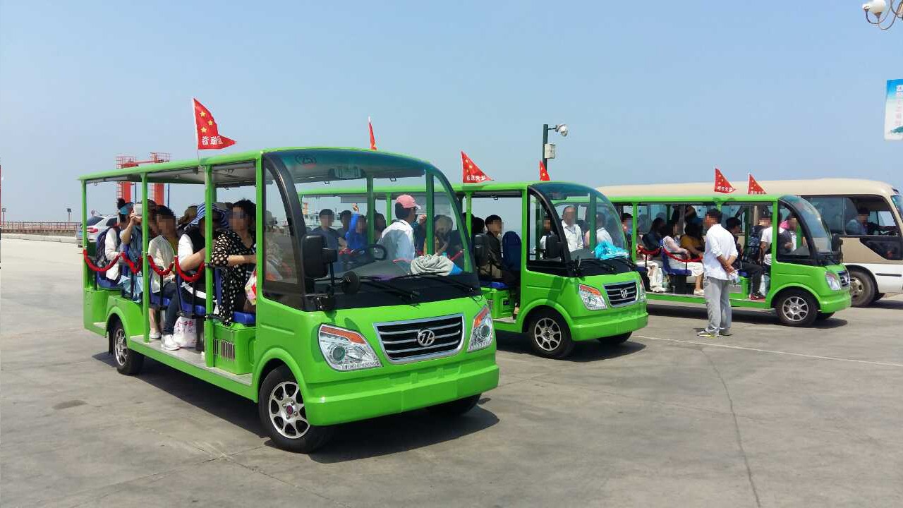 14座燃油观光车案例