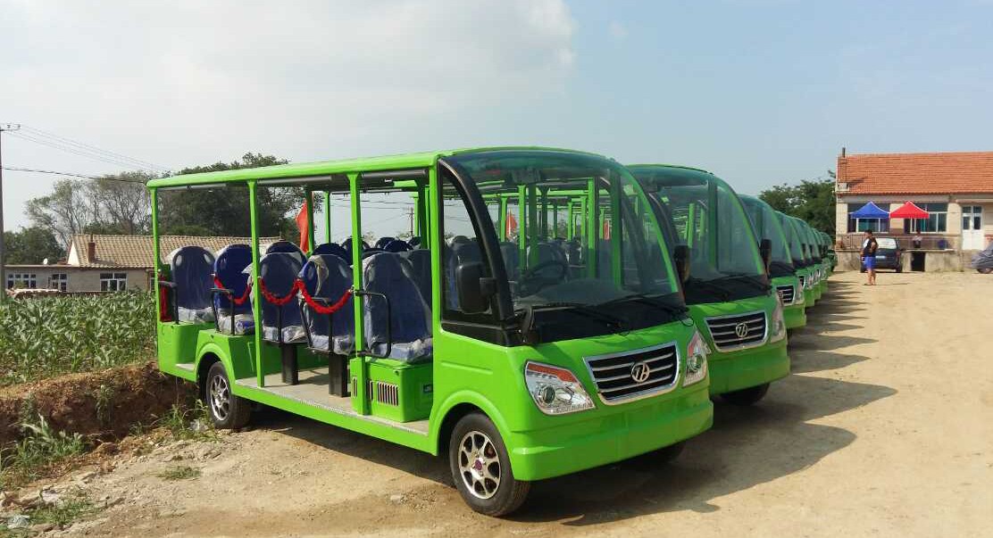 14座燃油观光车案例