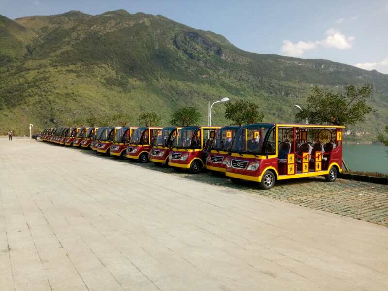 11座燃油观光车