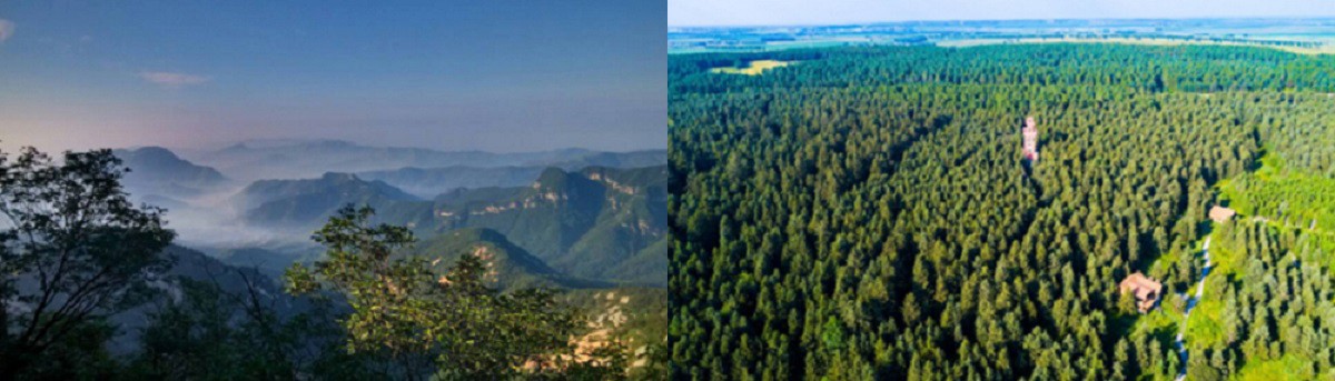 广西南宁观光车案例