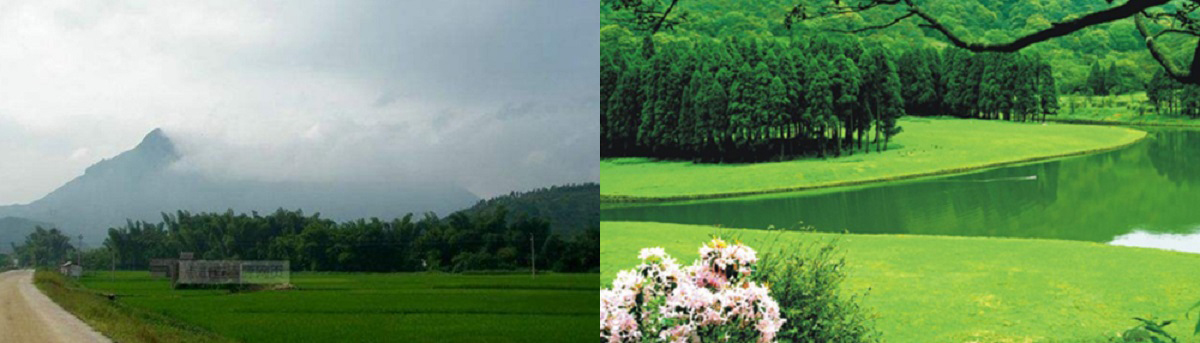 广西南宁观光车案例 广西南宁观光车案例