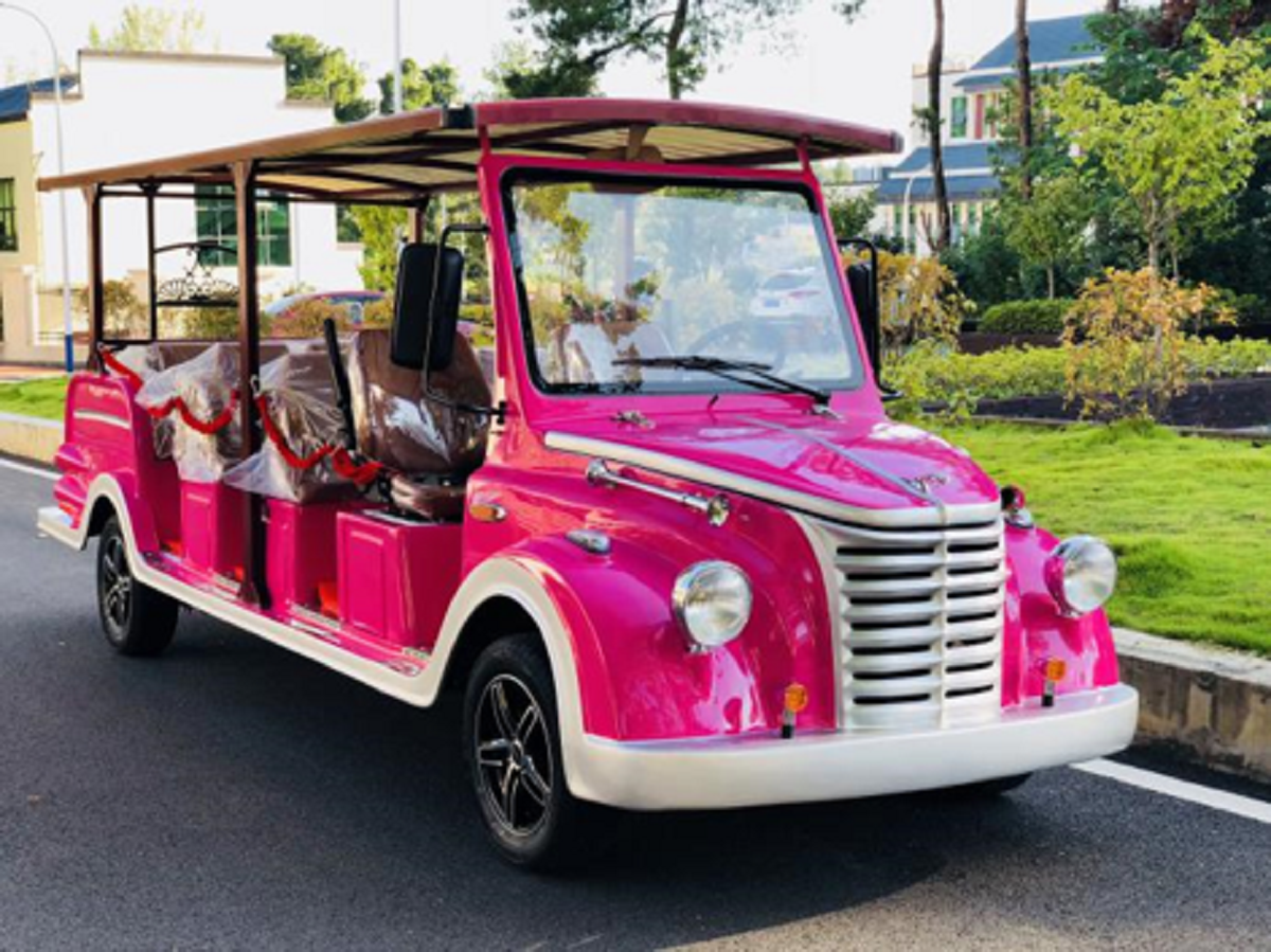 忠辉观光车 忠辉观光车