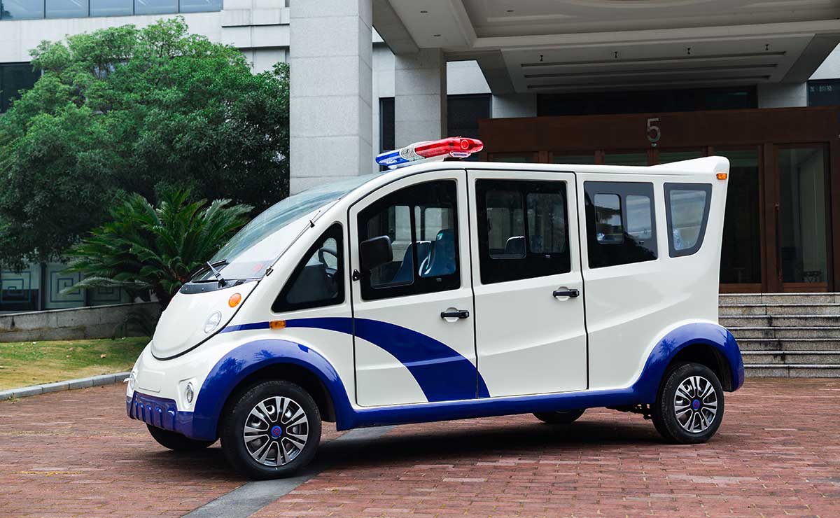 6座电动巡逻车