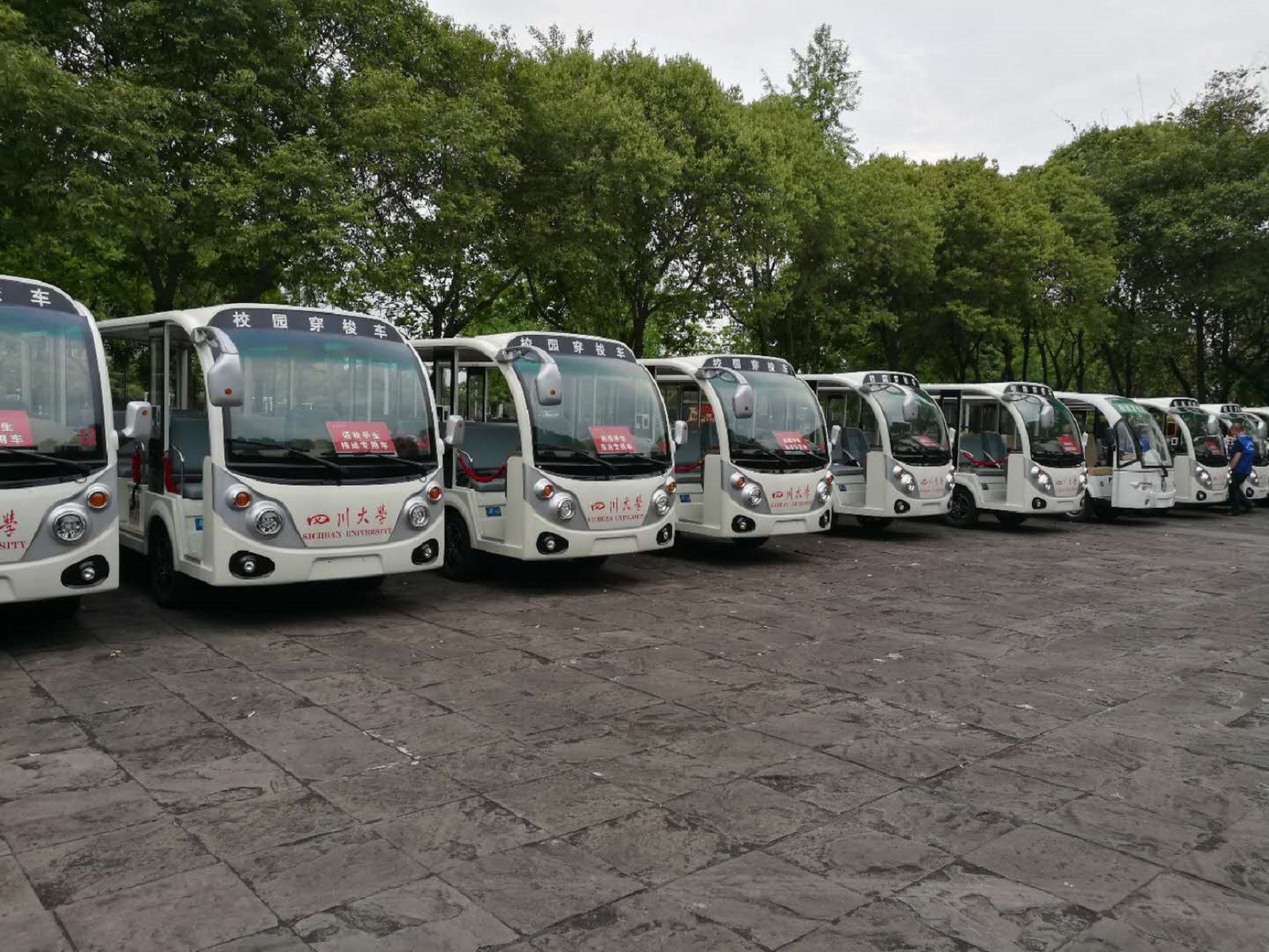 18座观光车案例