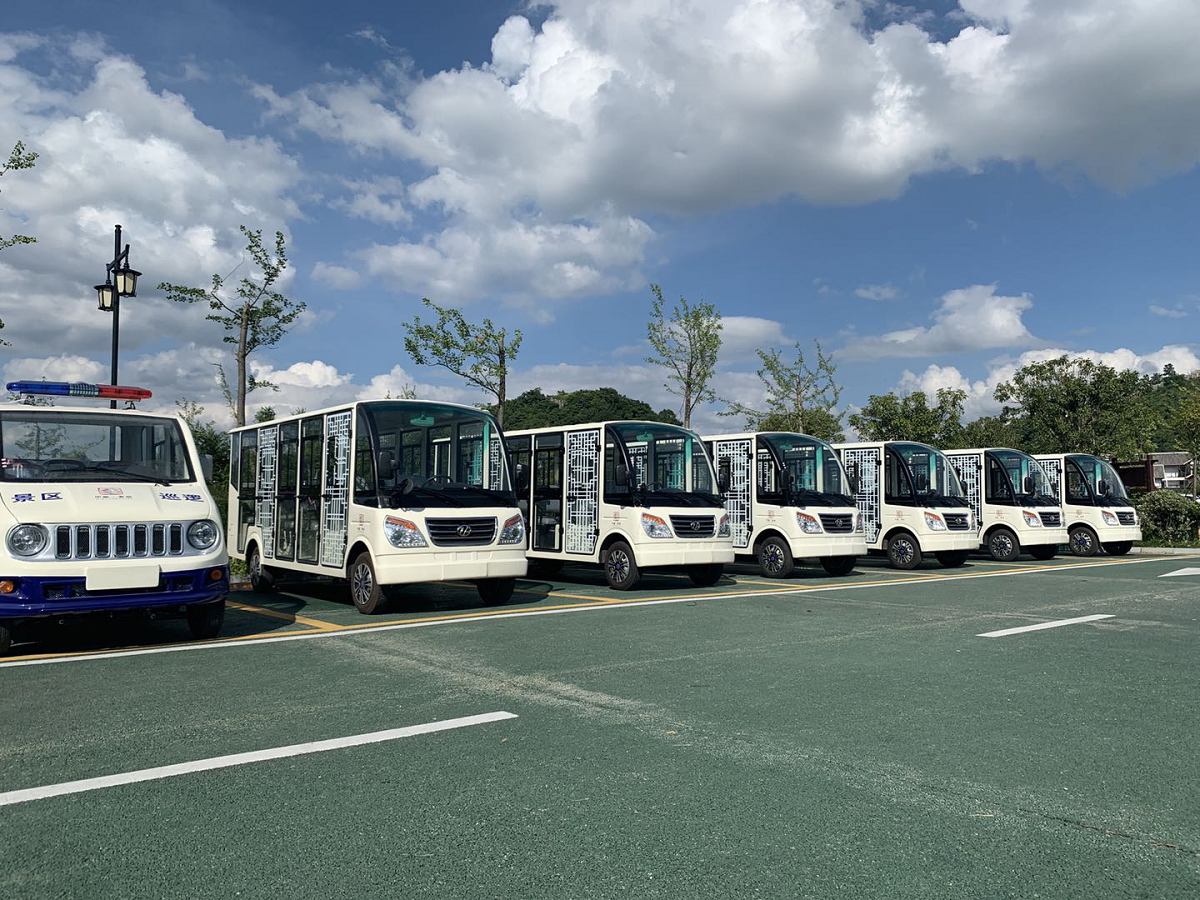 忠辉观光车 忠辉观光车