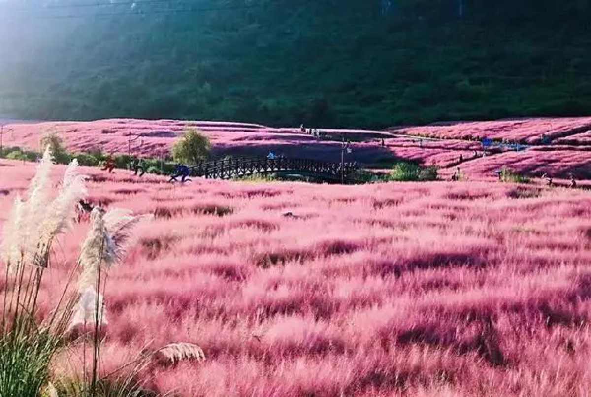 长顺神泉谷 长顺神泉谷