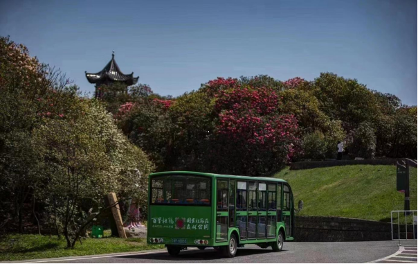 百里杜鹃观光车案例图片 百里杜鹃观光车案例图片