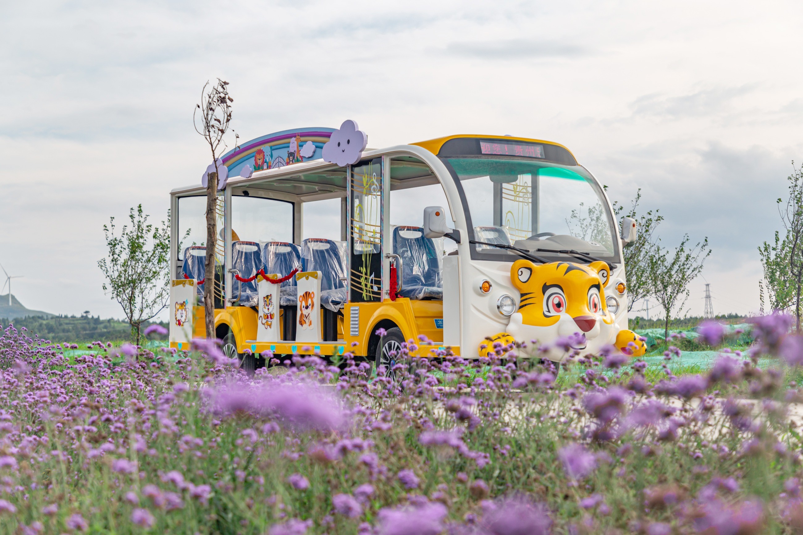 忠辉观光车 忠辉观光车