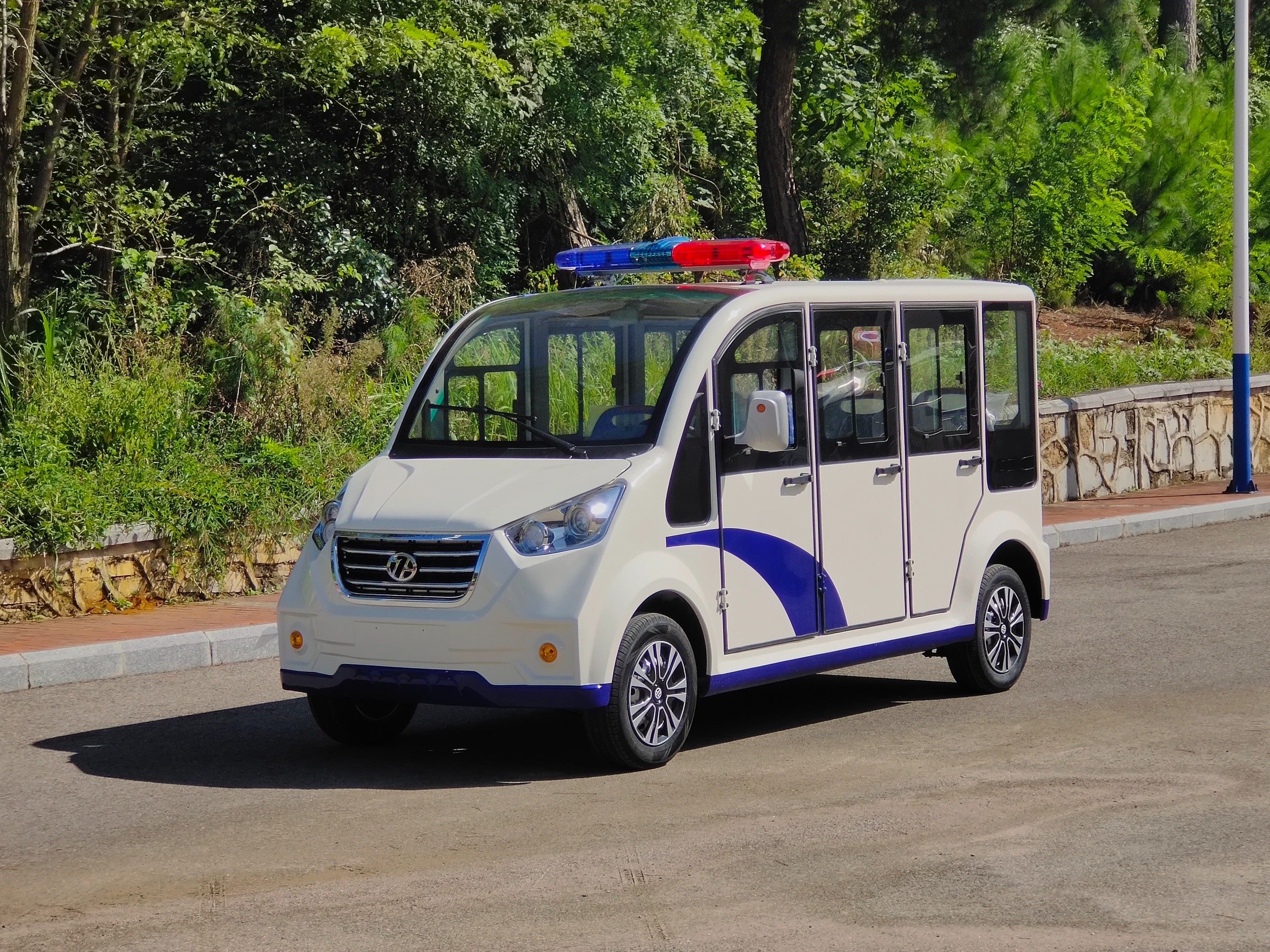 忠辉观光车 忠辉观光车