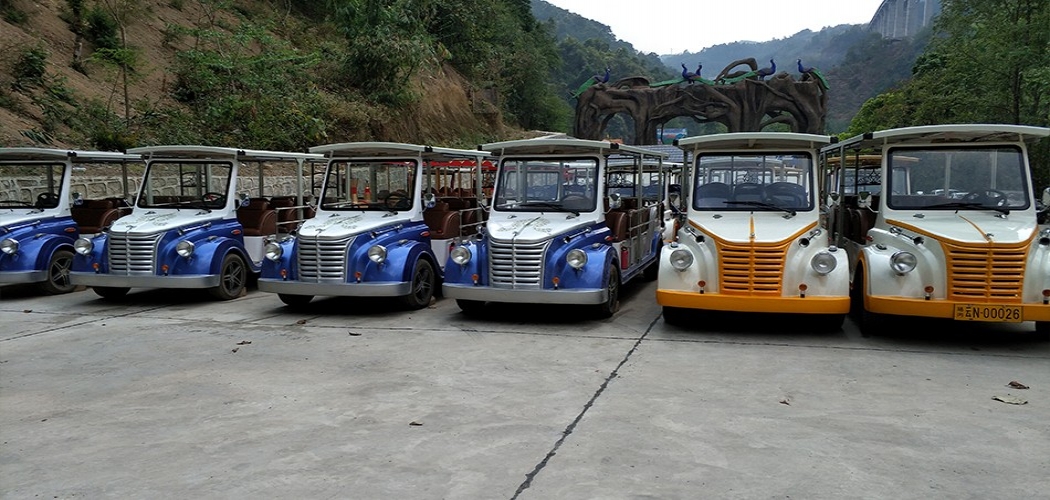 云南孔雀谷观光车案例图片