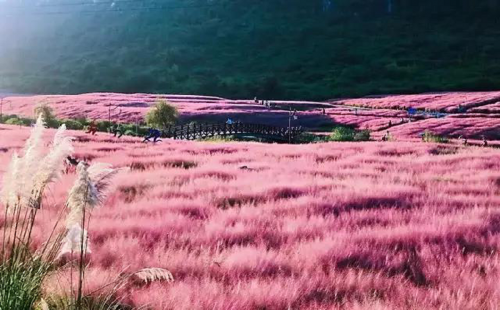 忠辉观光车带您畅游长顺神泉谷