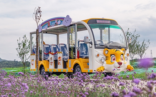 旅游景区为什么要用燃油观光车？