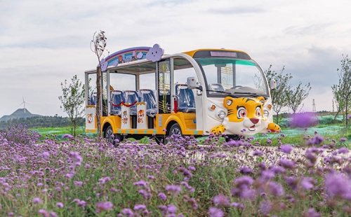 电动观光车相对燃油观光车来说有什么优势？