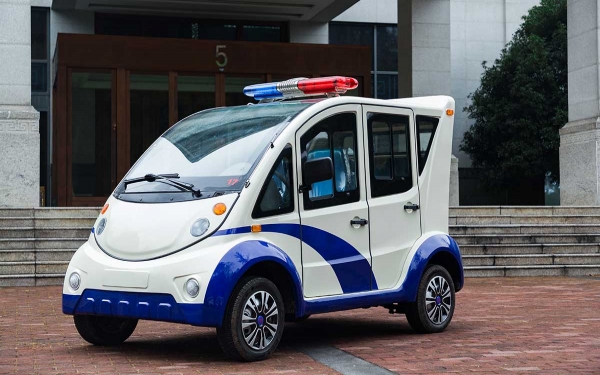 6座电动巡逻车