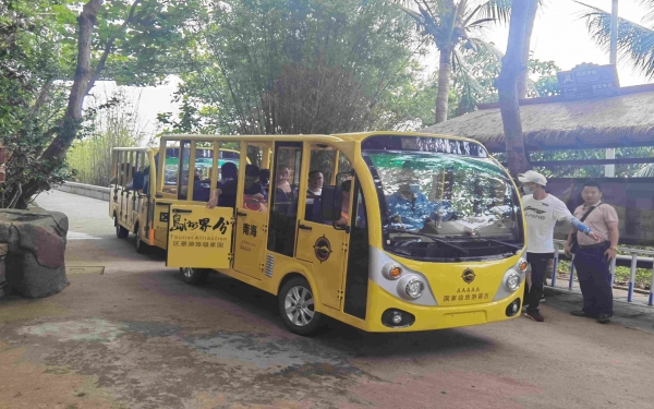 观光车驾驶证哪里可以考？