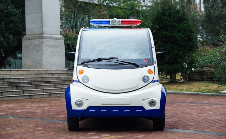 6座电动巡逻车
