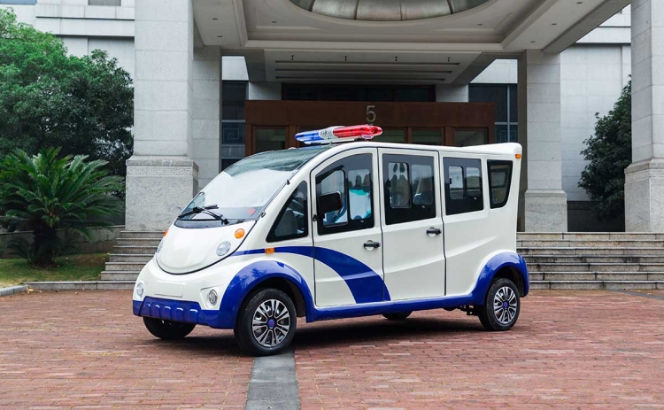 6座电动巡逻车