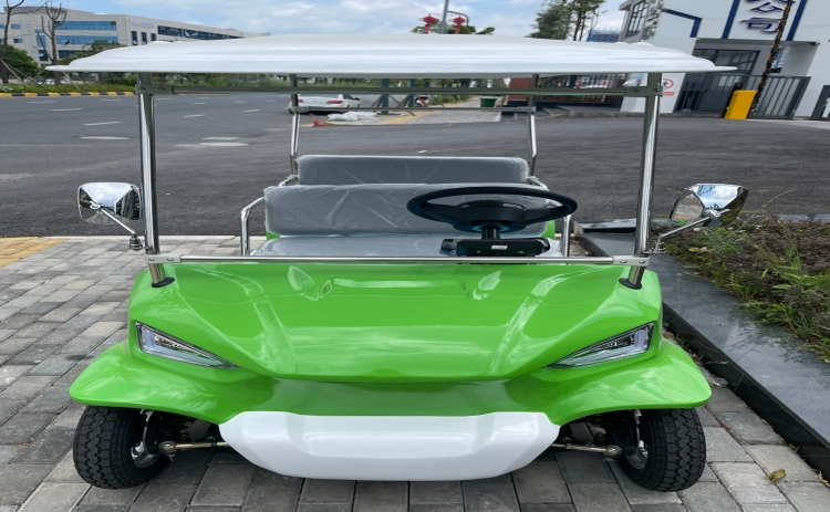 贵州忠辉4座电动游园代步车——青蛙