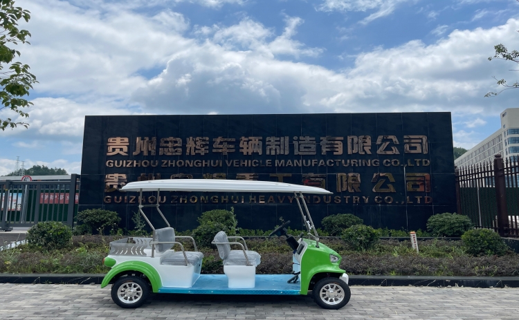 贵州忠辉4座电动游园代步车——青蛙