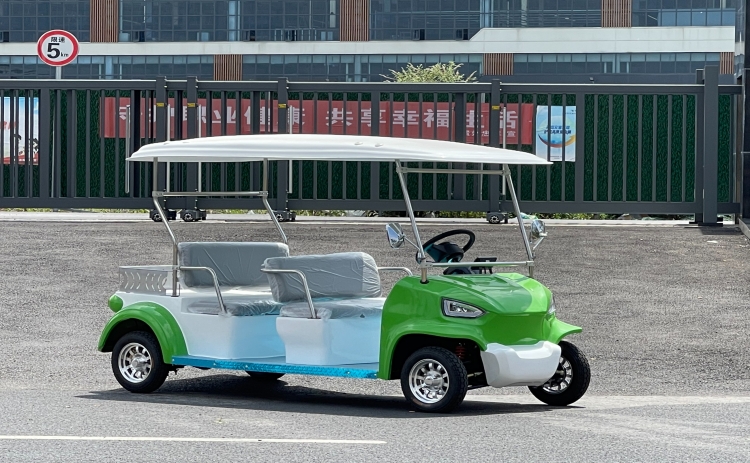 贵州忠辉4座电动游园代步车——青蛙